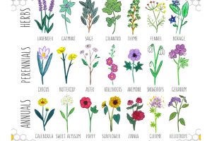 Plant These to Help Save Bees