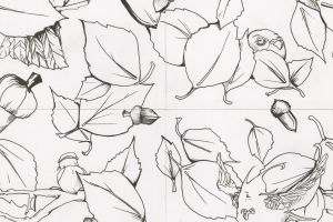 Dapper Bird Wrapping-paper Pattern Ink line