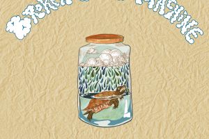 Turtle in a jar